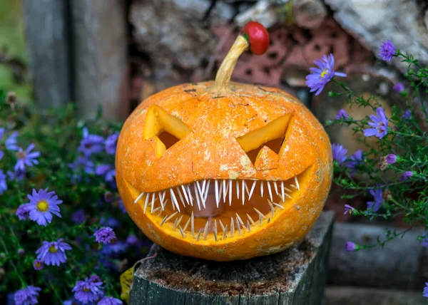 Halloween Tema Snidade Pumpa Med Ett Skrämmande Leende Spindlar Och — Stockfoto