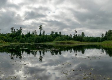 Sakin gölü olan monoton bir manzara, bulutlu ve bulutlu bir gün, sudaki ağaçların ve çalıların yeşil yansımaları, yazları küçük bir gölet