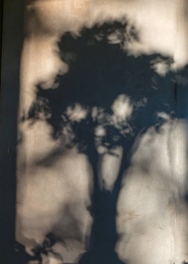 Duvardaki ışık ve gölgenin soyut oyunu