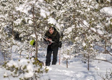 İnsan bataklıkta kar ayakkabılarıyla yürür, güneşli ve soğuk havada, mükemmel kar koşullarında, bataklıkta kış harikalar diyarında, tozlu kar bataklıktaki bitkileri kaplar, Letonya kışında
