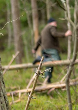 Ormandaki insan silueti, bataklık ormanı arka planı, bataklığın karakteristik bitkileriyle kaplı, karsız kış günü.