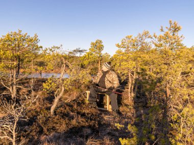 Bataklıkta, güneşli bir sabahta kamuflaj kıyafetli insan figürü.