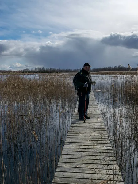 Paisaje Con Una Figura Humana Una Pasarela Peatonal Madera Pantano —  Fotos de Stock