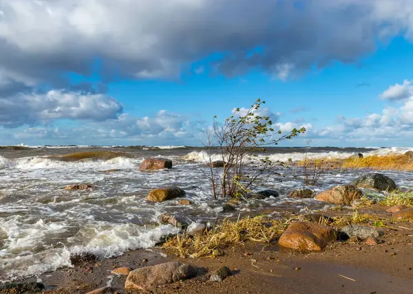 Beau Paysage Marin Avec Des Vagues Mer Écrasant Sur Rivage — Photo