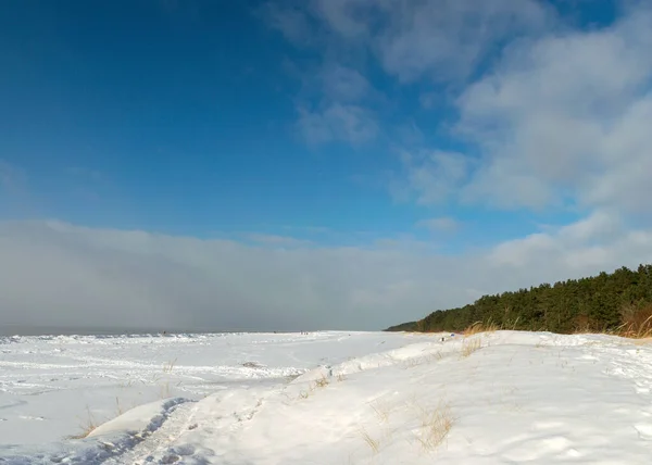 Paisagem Inverno Junto Mar Pedaços Gelo Nevado Junto Mar Dunas — Fotografia de Stock