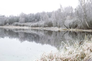 Güzel, huzurlu, sisli, çimenli ve ön planda ağaç dalları olan bir göl manzarası.