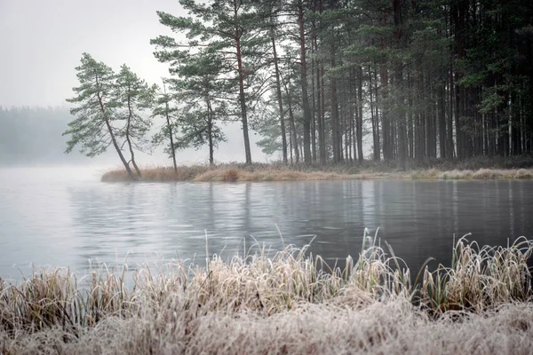Sis manzarası, bataklık gölünün yanındaki ilk don, sislerin arkasındaki ağaç siluetleri, su yüzeyindeki suyun sakin yansıması, sisli ufuklar, kış