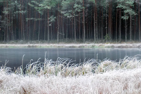 Fog Landscape First Frost Bog Lake Calm Reflection Water Water — Stock Photo, Image