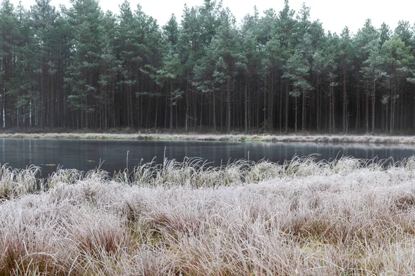 Bataklık gölünün yakınındaki ilk buzla kaplı sis manzarası, su yüzeyindeki suyun sakin yansıması, sisli ufuklar, kış