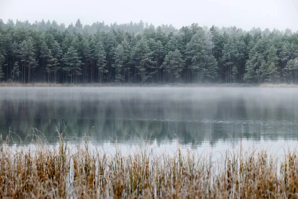 Bataklık gölünün yakınındaki ilk buzla kaplı sis manzarası, su yüzeyindeki suyun sakin yansıması, sisli ufuklar, kış