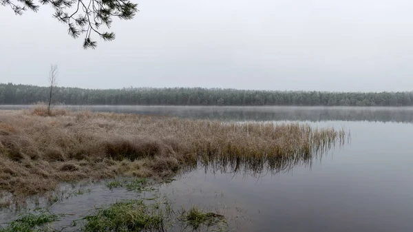 Paysage Brouillard Avec Premier Gel Près Lac Tourbière Givré Dans — Photo