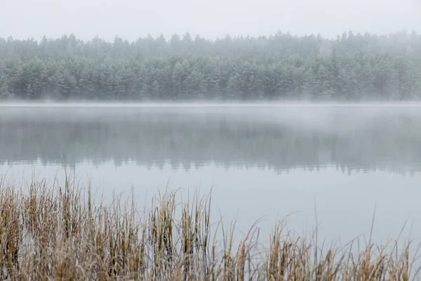 Paysage Brouillard Avec Premier Gel Près Lac Tourbière Reflet Calme — Photo