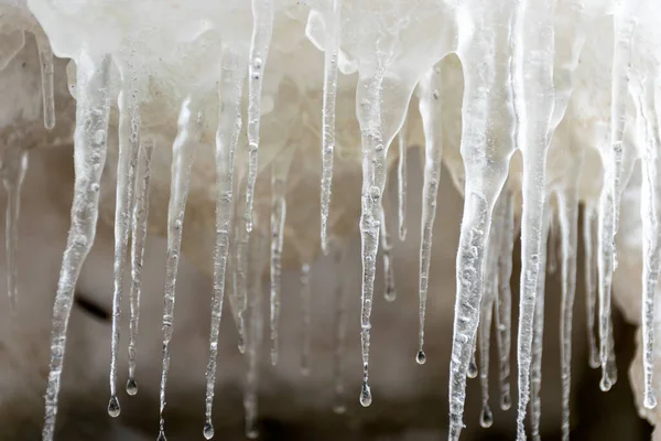 Photography Frozen Pieces Ice Ice Covered Grass Stalks Wind Cold — Φωτογραφία Αρχείου