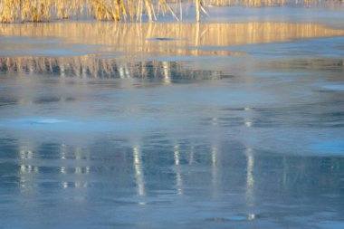 Göl üzerinde soyut ve bulanık ağaç yansımaları, erimiş su, güzel doku.