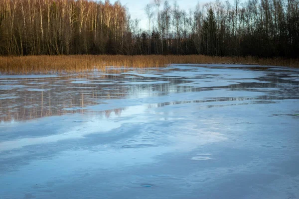 Beautiful Winter Landscape Lake Sunny Cold Day — Stock Photo, Image