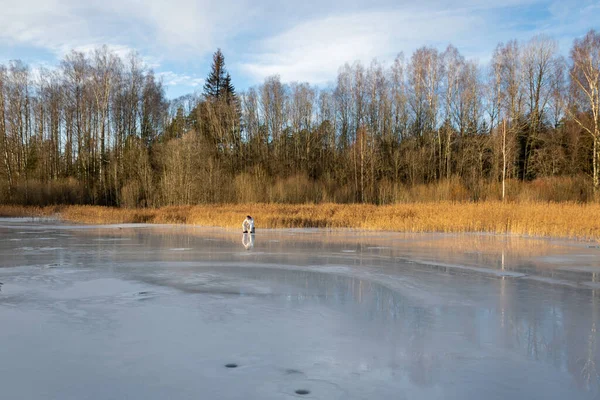 Paisaje Con Pesca Hielo Lago Congelado Deporte Invierno Recreación Aire —  Fotos de Stock