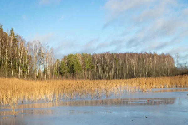 Vackert Vinterlandskap Från Sjön Solig Kall Dag — Stockfoto