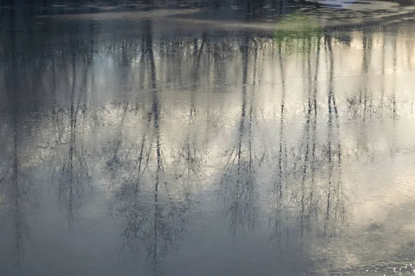 Абстрактные Нечеткие Отражения Деревьев Озере Талая Вода Красивая Текстура — стоковое фото