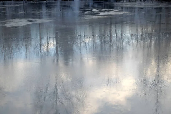 Абстрактные Нечеткие Отражения Деревьев Озере Талая Вода Красивая Текстура — стоковое фото