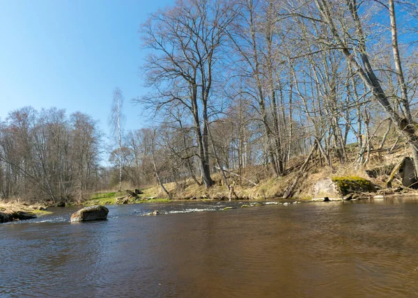 Blick Auf Die Ufer Eines Kleinen Wilden Flusses Frühling Kahle — Stockfoto