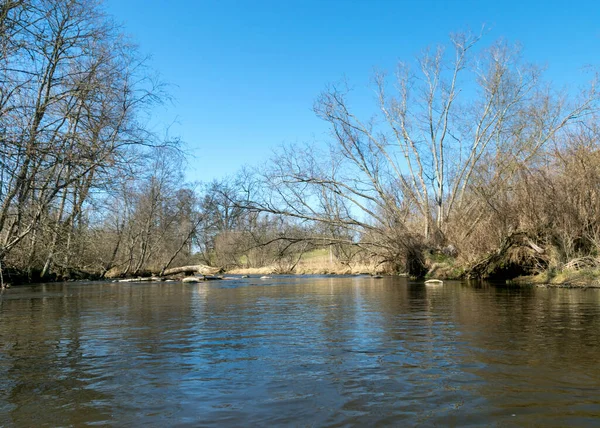 春の小さな野生の川 裸の木 水面の反射 小さな野生の川 ラトビアのアブルス川の眺め — ストック写真