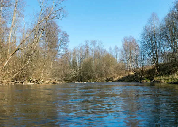 Vista Das Margens Pequeno Rio Selvagem Primavera Árvores Nuas Reflexões — Fotografia de Stock