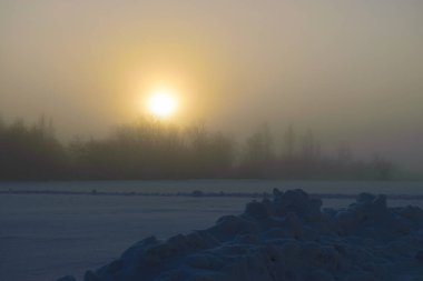 Güzel bir sis sabahı, sisli güneş, ağaçların ve dalların siluetleri, kış manzarası, bulanık sisli arka plan