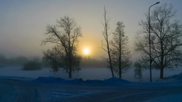 美丽的雾气早晨 透过雾气的阳光 树木和树枝的轮廓 冬季的风景 模糊的雾气背景 — 图库照片