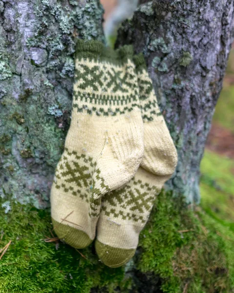 Fotografie Mit Gestrickten Socken Auf Naturerdgrund Bastelkonzept Stricken Als Hobby — Stockfoto