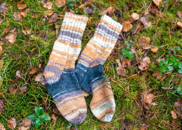 Fotografie Mit Gestrickten Socken Auf Naturerdgrund Bastelkonzept Stricken Als Hobby — Stockfoto