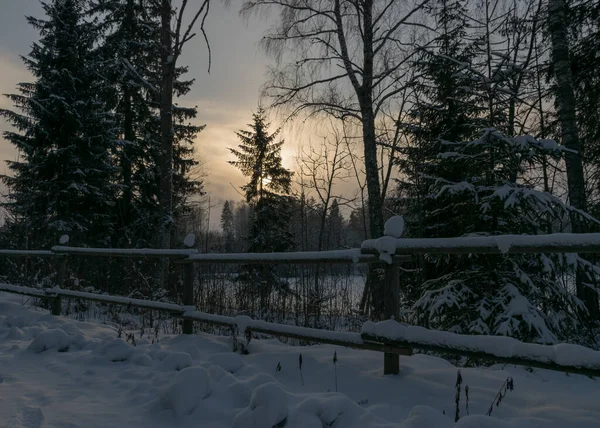 Traditionellt Vinterlandskap Med Snöiga Träd Vit Snötäckt Väg Magin Vit — Stockfoto
