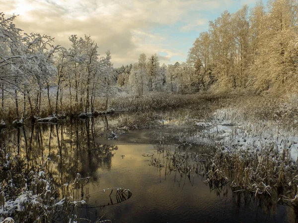 Hermoso Paisaje Invierno Con Lago Árboles Cubiertos Nieve Cielo Colorido — Foto de Stock