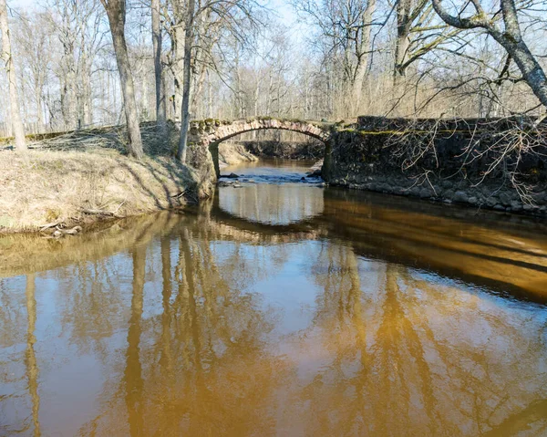 Ponte Alvenaria Sobre Rio Cuja Dia Ensolarado Início Primavera Com — Fotografia de Stock