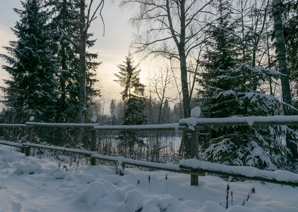 Traditionellt Vinterlandskap Med Snöiga Träd Vit Snötäckt Väg Magin Vit — Stockfoto