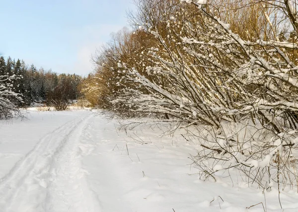 Paisagem Inverno Tradicional Com Árvores Nevadas Branco Estrada Coberta Neve — Fotografia de Stock