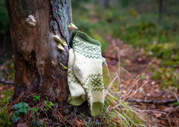 Fotografie Met Gebreide Sokken Een Natuurlijke Aardbodem Ambachtelijke Concept Breien — Stockfoto