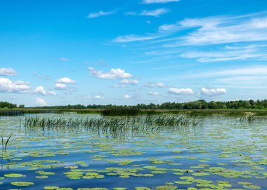 Gölden nehrin kaynağıyla yaz manzarası, bea