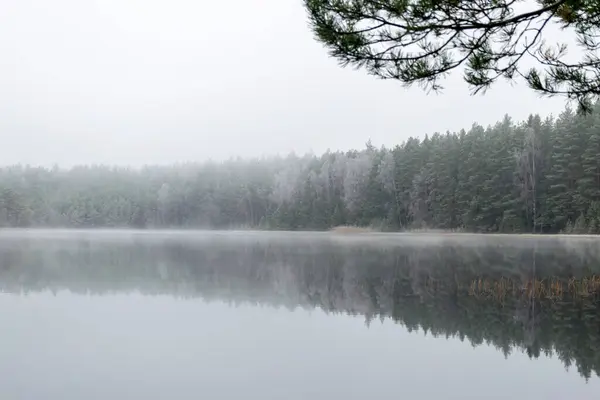 Mlha Krajina Prvním Mrazem Jezera Bažiny Klidný Odraz Vody Vodní — Stock fotografie