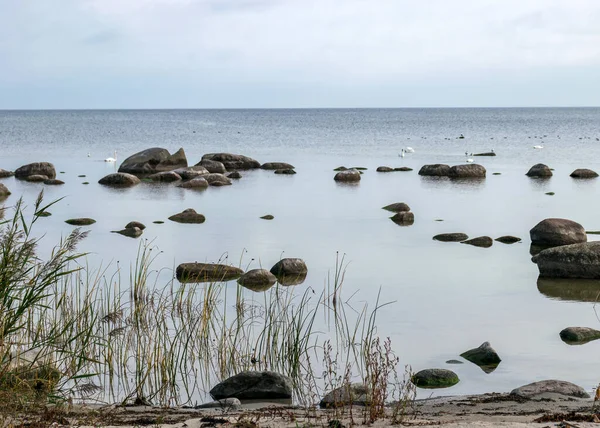 Blick Auf Die Ungewöhnliche Landschaft Des Kaltene Strandes Gebildet Von — Stockfoto