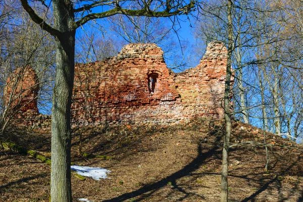 Frühlingslandschaft Mit Burgruinen Aus Rotem Backstein Kahlen Bäumen Ohne Blätter — Stockfoto