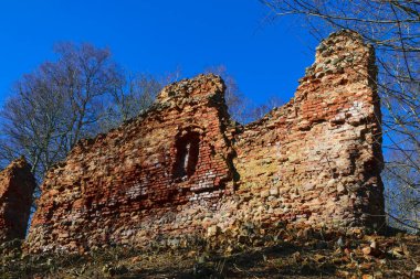 Kırmızı tuğladan kale harabeleri, yaprakları olmayan çıplak ağaçlar, Augstroze şatosu höyüğü, Umurga bölgesi, Letonya