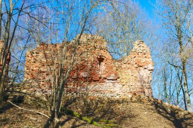 Kırmızı tuğladan kale harabeleri, yaprakları olmayan çıplak ağaçlar, Augstroze şatosu höyüğü, Umurga bölgesi, Letonya