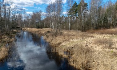 Baharın başlarında küçük bir nehir, mavi gökyüzü ve sudaki yansımalar, güneşli bahar manzarası, Seda Nehri, Letonya