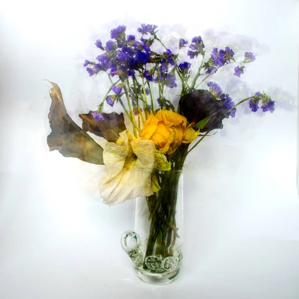 Букет Квітів Сфотографований Багатьох Кадрів Зібраний Разом Фотошопі — стокове фото