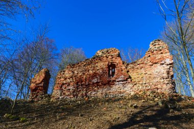 Kırmızı tuğladan kale harabeleri, yaprakları olmayan çıplak ağaçlar, Augstroze şatosu höyüğü, Umurga bölgesi, Letonya