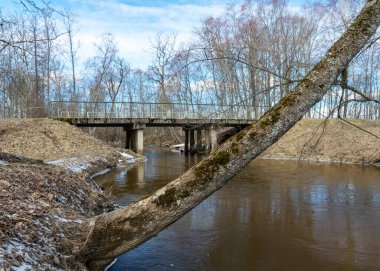 Beton köprülü manzara, ilkbaharın başlarında, çıplak ağaçlar, yerde kar planı, Kuja nehri, Madona, Letonya