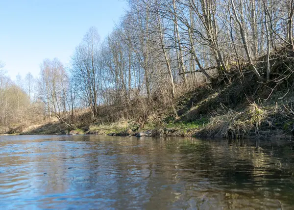 Baharda küçük, vahşi bir nehrin kıyılarını görmek, çıplak ağaçlar, sudaki yansımalar, küçük vahşi bir nehir, Letonya 'daki Abuls nehri.