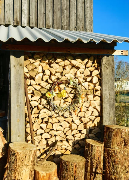 View Backyard Early Spring Morning Firewood Winter Front Barn Morning — 스톡 사진
