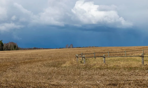 Taze sakallı tarım tarlaları hasat sonrası, güzel bulut