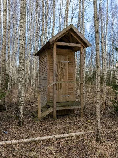 Göl kenarında piknik yeri olan bir resim, baharın başında.